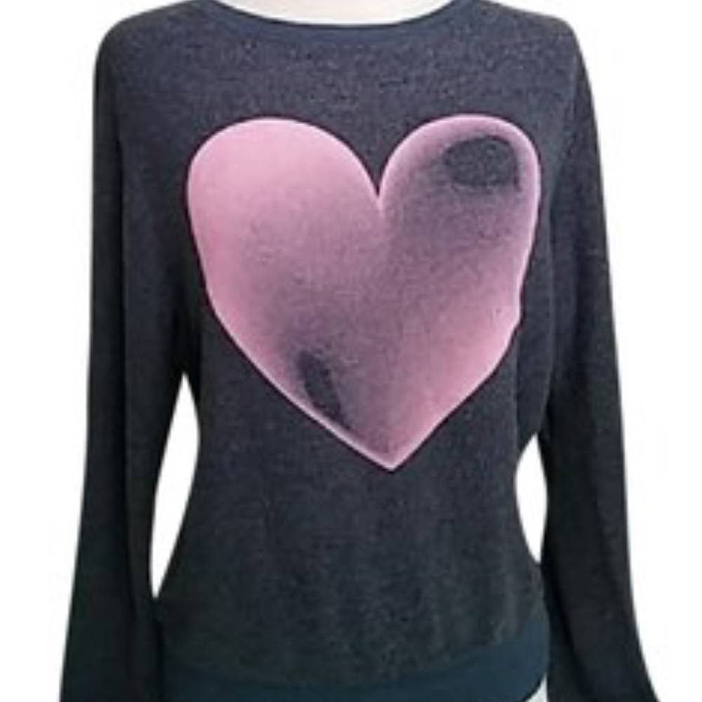 Wildfox Blue with A Pink Heart Sweater